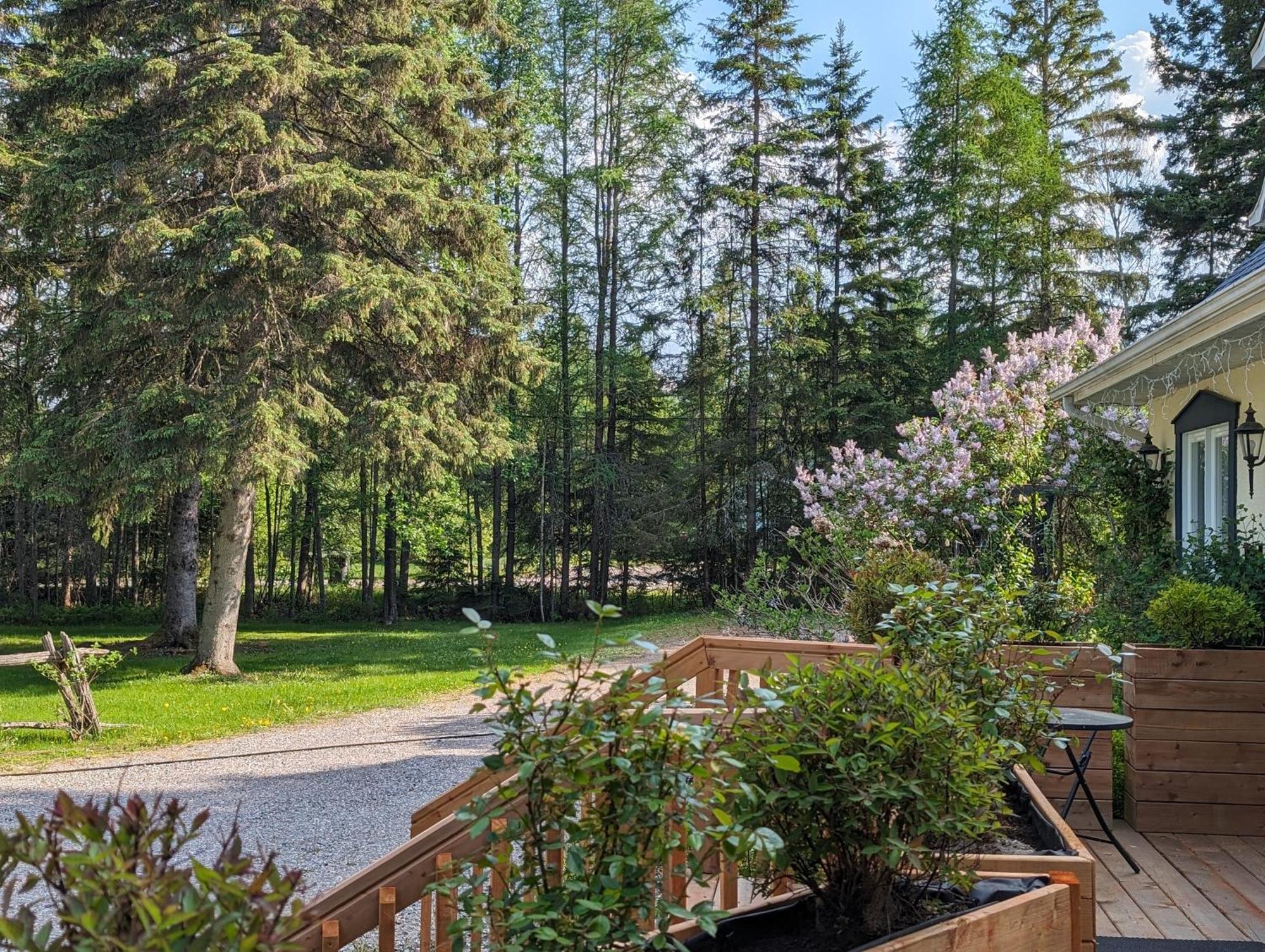 Bed and Breakfast La Tremblante Mont-Tremblant Exterior foto
