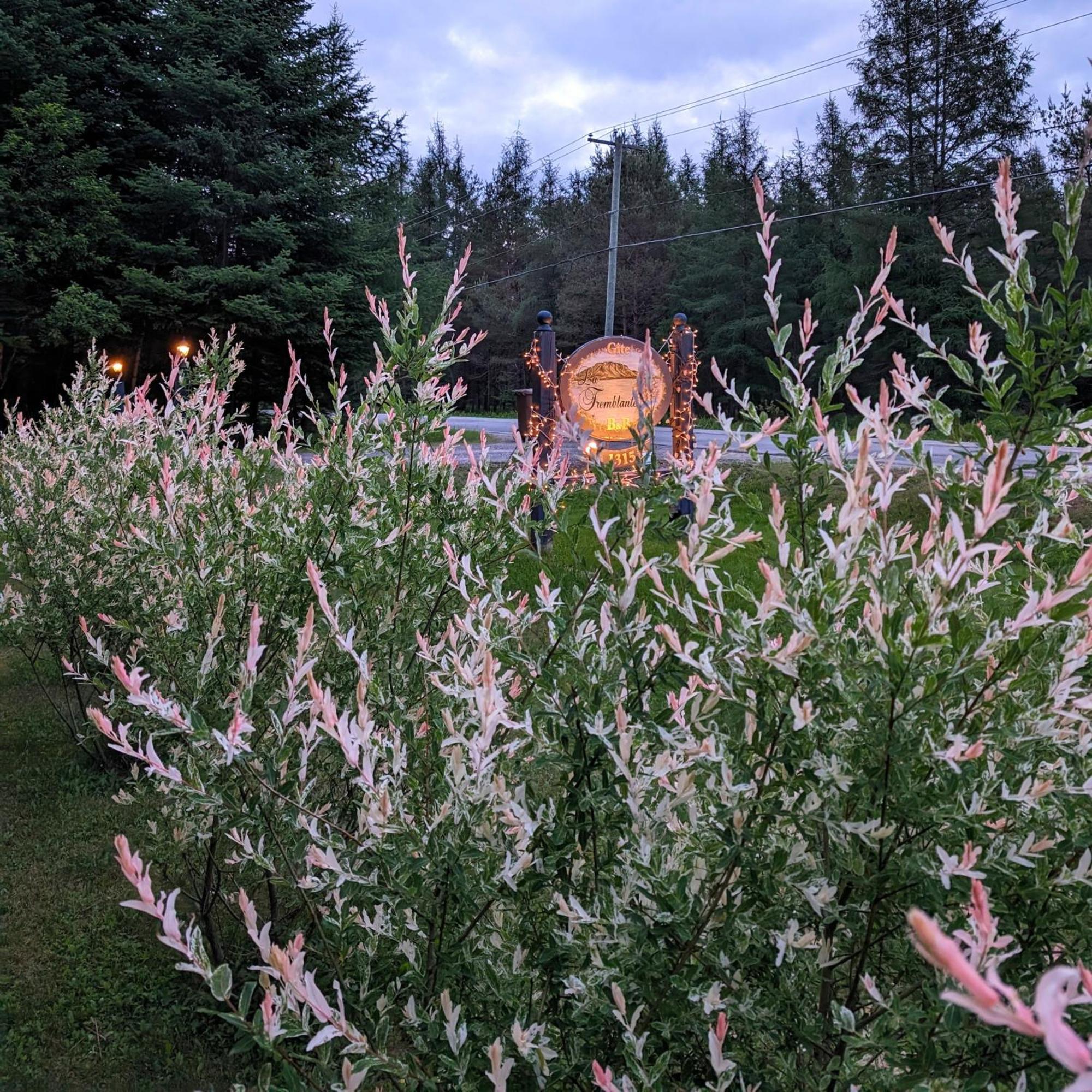 Bed and Breakfast La Tremblante Mont-Tremblant Exterior foto