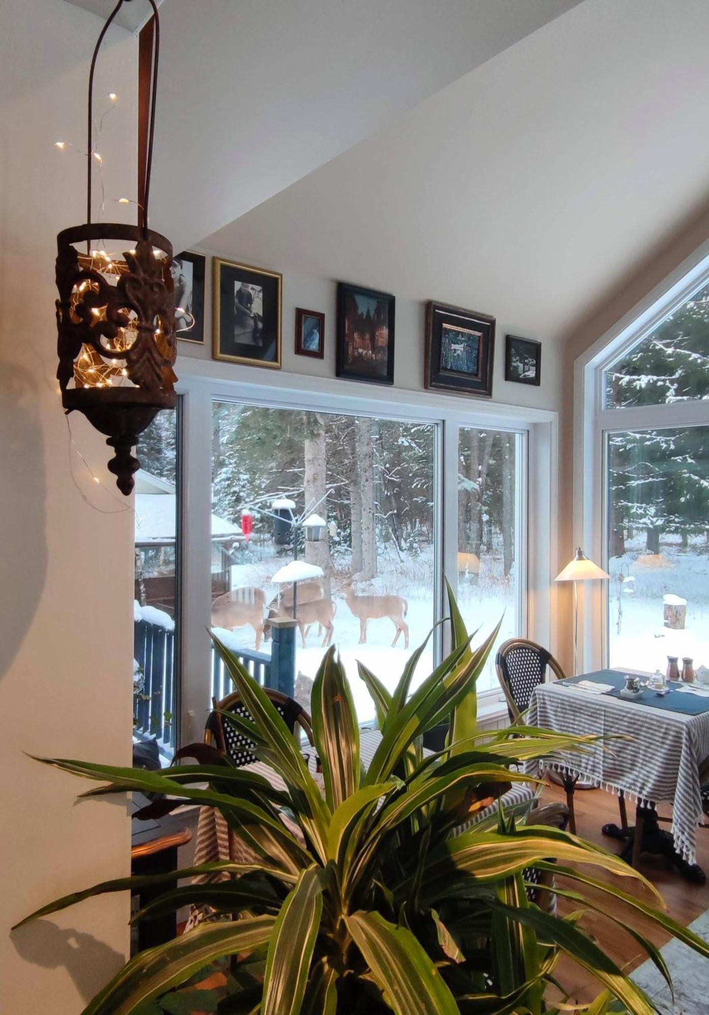 Bed and Breakfast La Tremblante Mont-Tremblant Exterior foto
