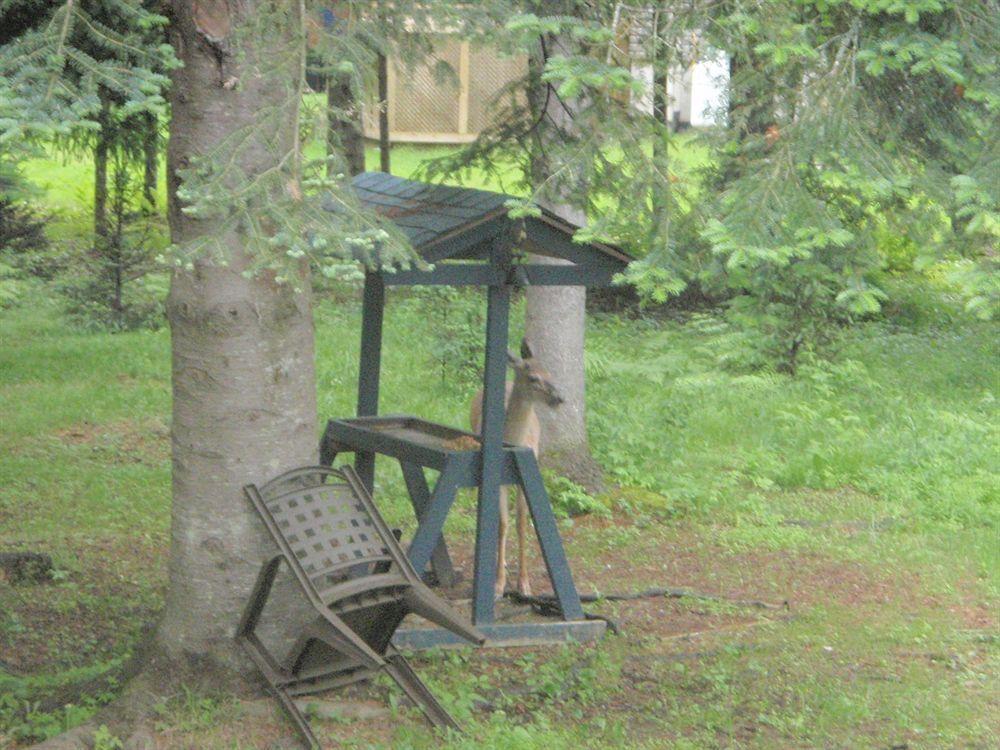Bed and Breakfast La Tremblante Mont-Tremblant Exterior foto